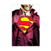 Joker Superman Logo Maxi Poster - www.entertainmentstore.in