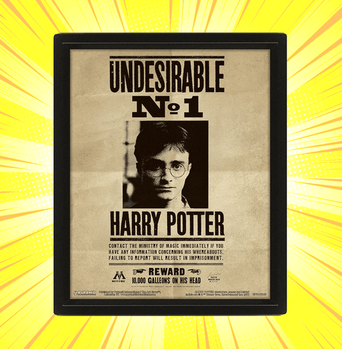 Harry Potter Harry And Sirius 3D Framed Poster - www.entertainmentstore.in
