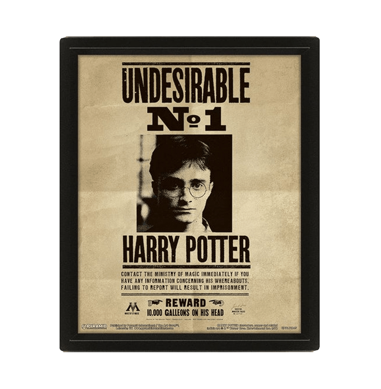 Harry Potter Harry And Sirius 3D Framed Poster - www.entertainmentstore.in