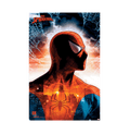 Spider Man Protector Of The City Maxi Poster - www.entertainmentstore.in