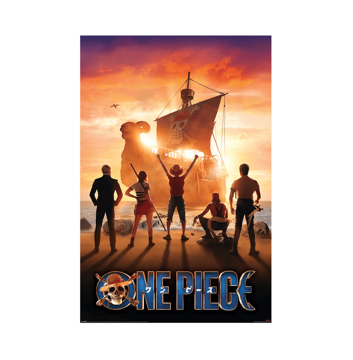 One Piece Live Action Set Sail Maxi Poster — www.entertainmentstore.in