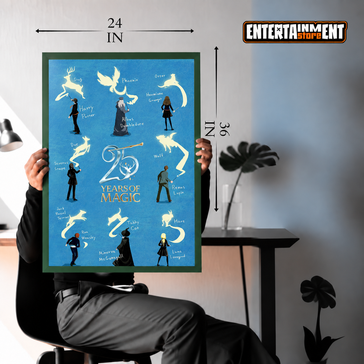 HARRY POTTER (25 YEARS) MAXI POSTER