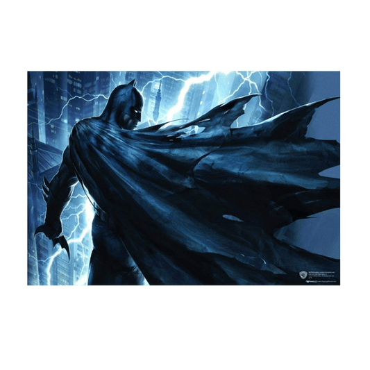 Batman CTN Cape Blowing Poster - www.entertainmentstore.in