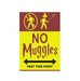 No Muggles Beyond This Point Mini Poster - www.entertainmentstore.in