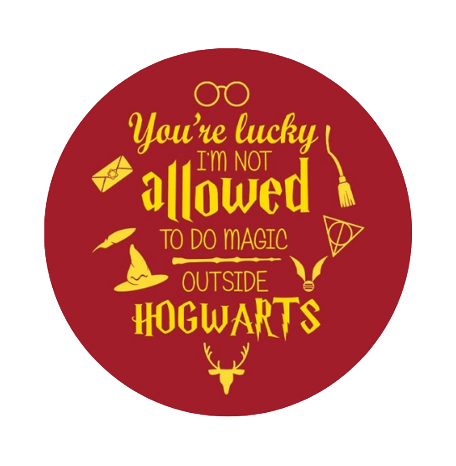 Harry Potter You Are Lucky I m Not Allowed Button Badge