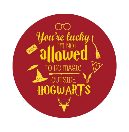 Harry Potter You Are Lucky I m Not Allowed Button Badge