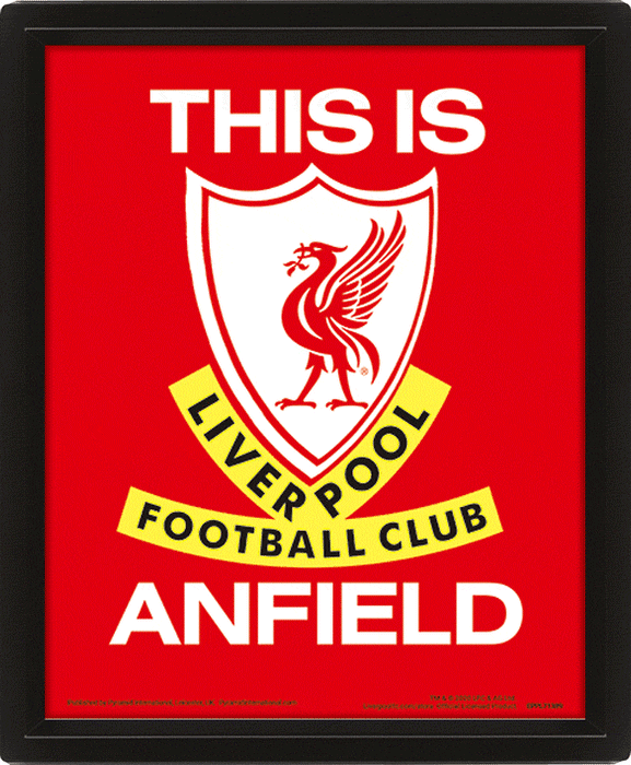 Liverpool Fc This Is Anfield Flip 3D Print Frame - www.entertainmentstore.in
