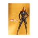 Black Widow Marvel First 10 Years Mini Poster - www.entertainmentstore.in