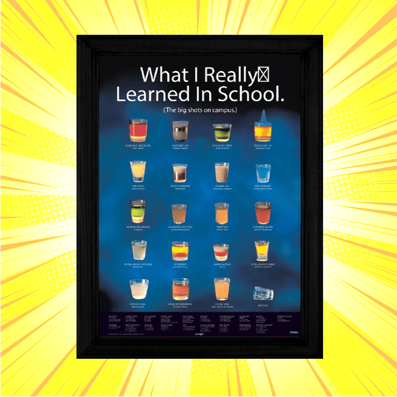 What I Learned In School Framed Poster - www.entertainmentstore.in