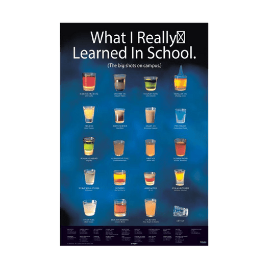 What I Learned In School Framed Poster - www.entertainmentstore.in