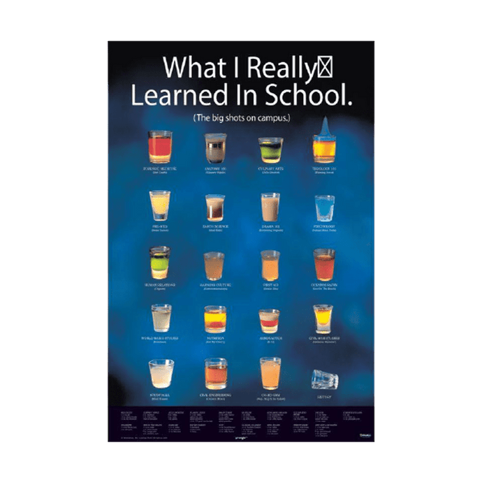 What I Learned In School Framed Poster - www.entertainmentstore.in