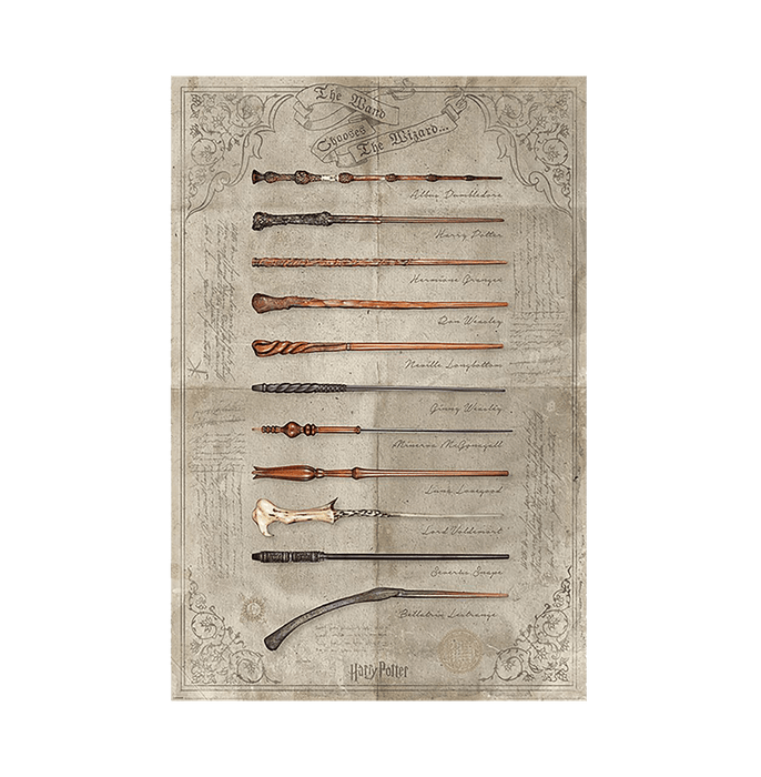 Harry Potter The Wand Chooses The Wizard Maxi Poster - www.entertainmentstore.in