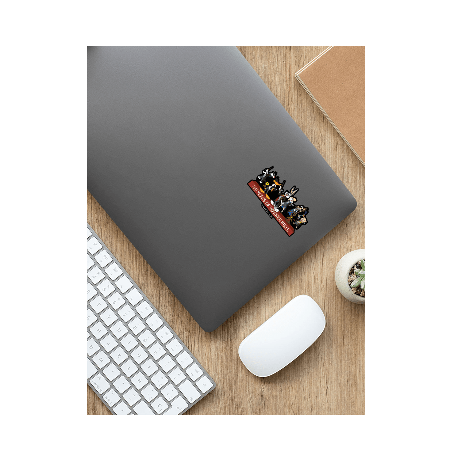 Looney Potter Stickon Sticker - www.entertainmentstore.in