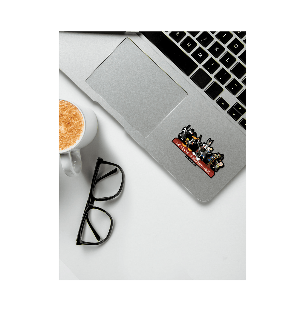 Looney Potter Stickon Sticker - www.entertainmentstore.in