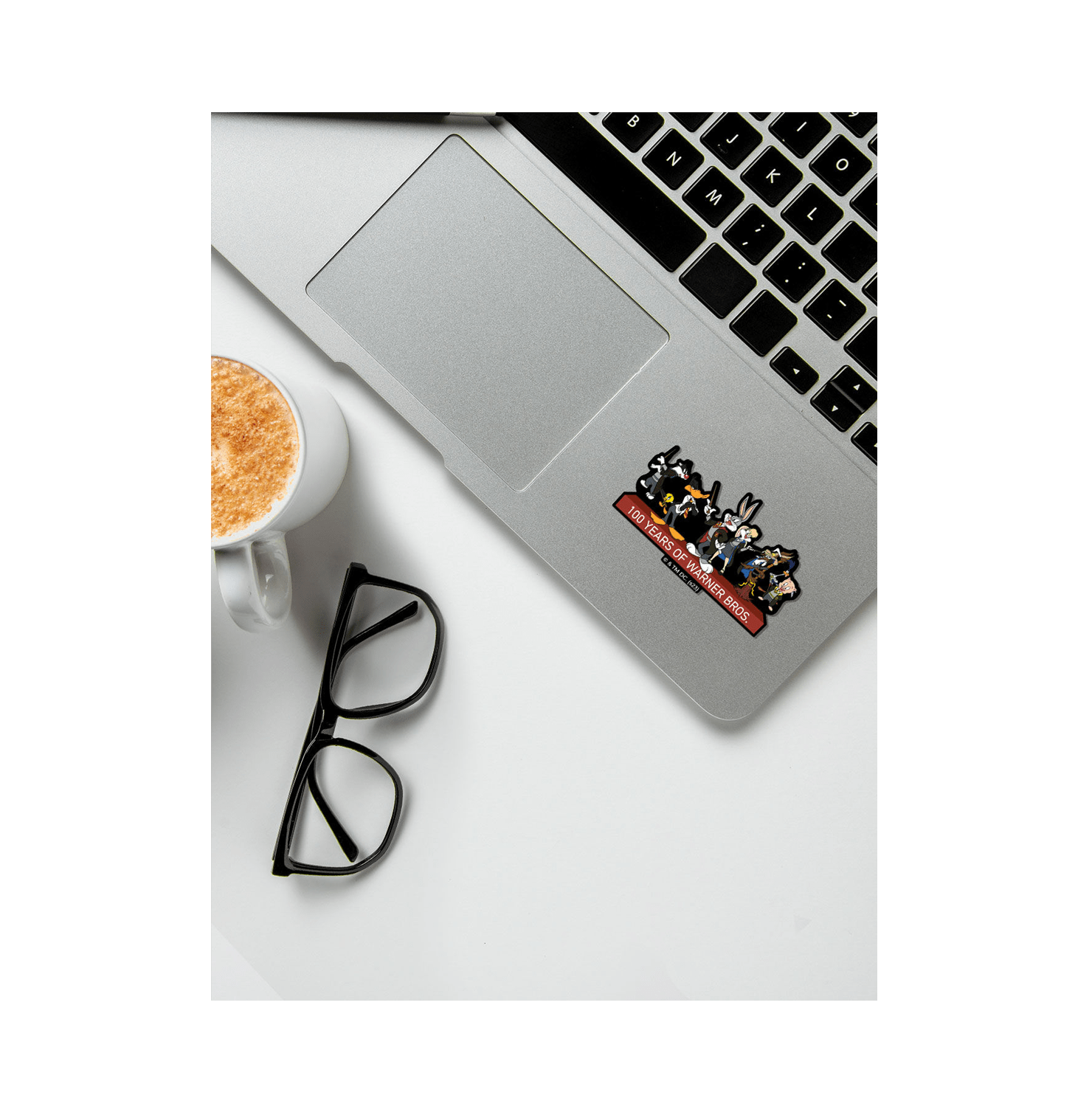 Looney Potter Stickon Sticker - www.entertainmentstore.in
