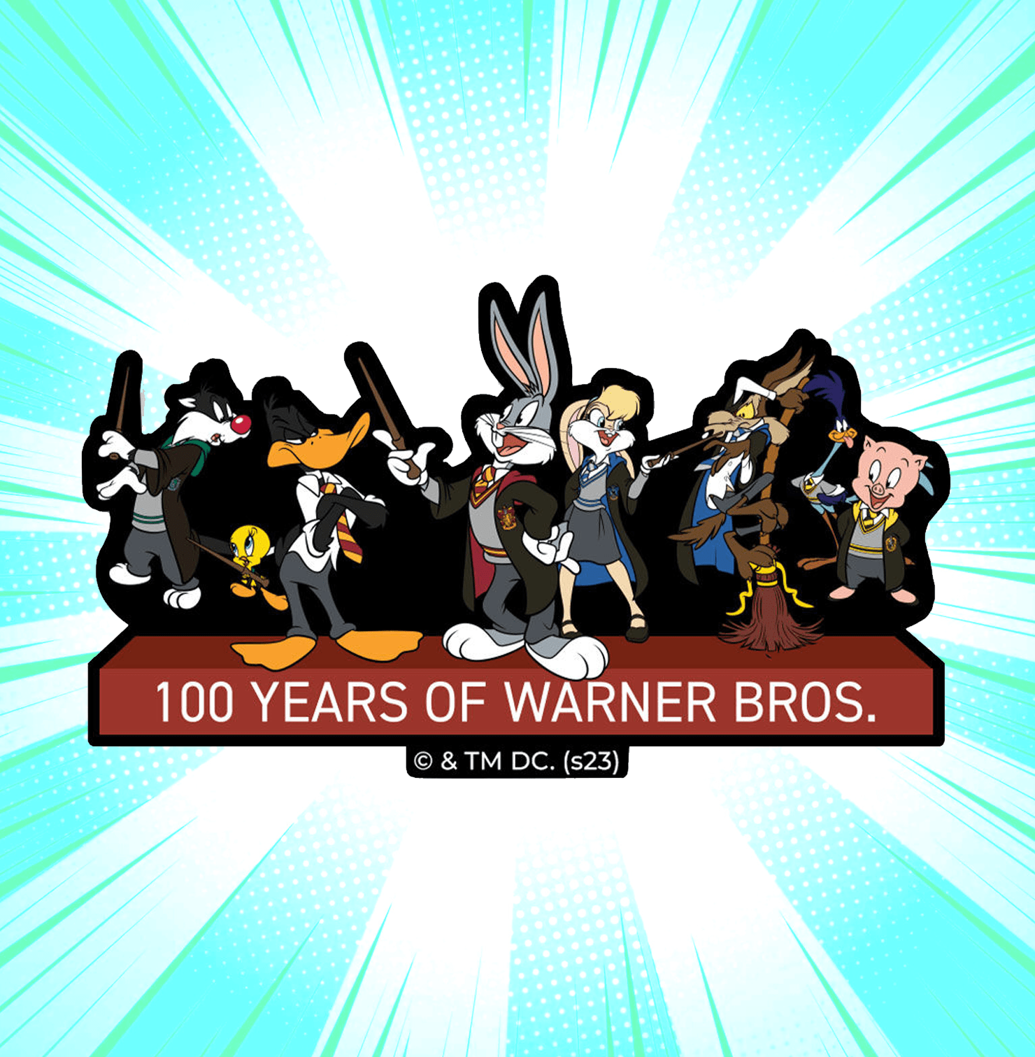 Looney Potter Stickon Sticker - www.entertainmentstore.in