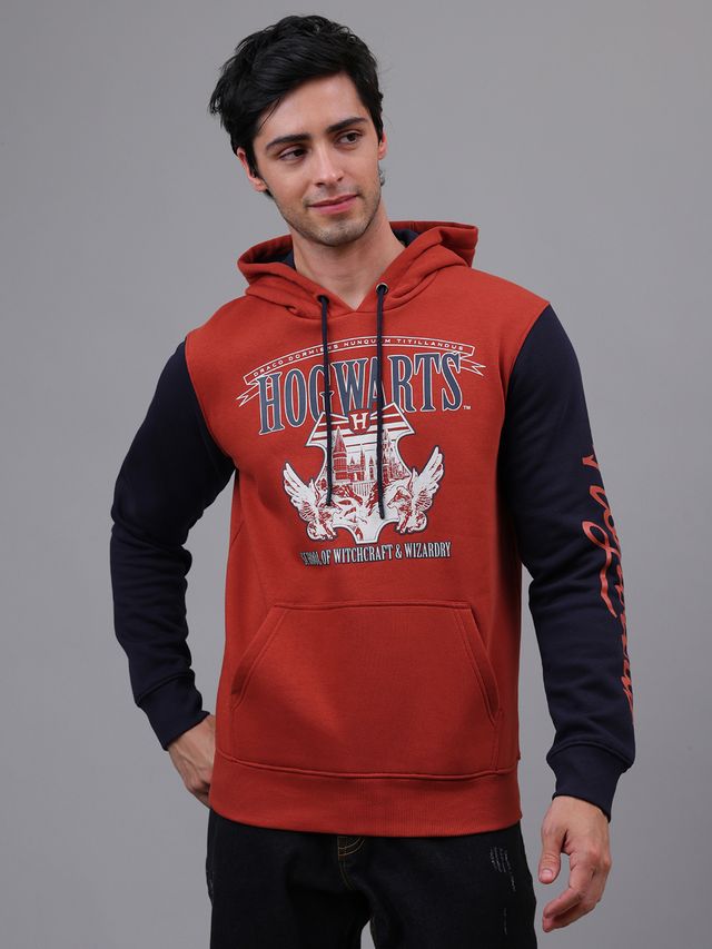 HARRY POTTER MULTI YOUNG MEN HOODIE-FC