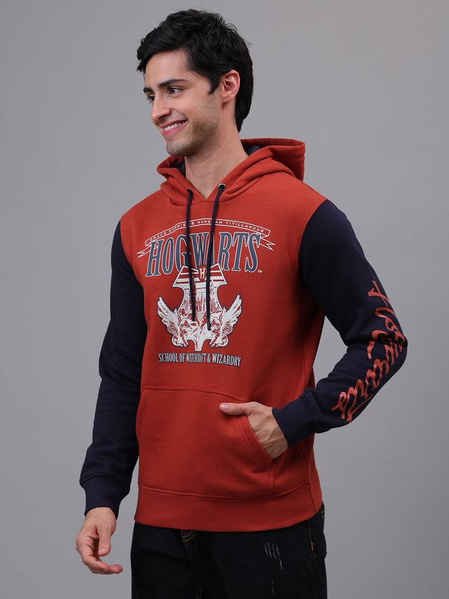 HARRY POTTER MULTI YOUNG MEN HOODIE-FC
