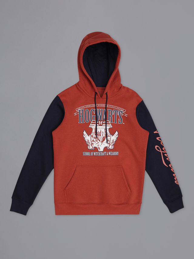 HARRY POTTER MULTI YOUNG MEN HOODIE-FC