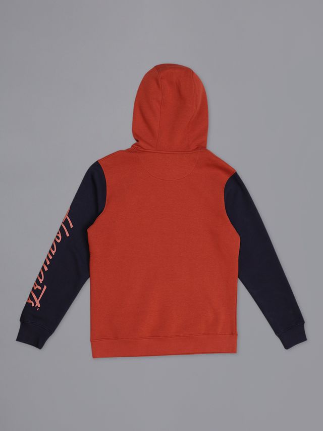HARRY POTTER MULTI YOUNG MEN HOODIE-FC