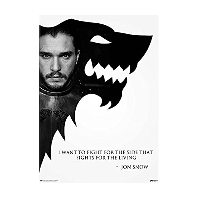 Game Of Thrones Jon Snow Laminate - www.entertainmentstore.in