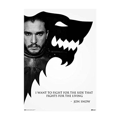 Game Of Thrones Jon Snow Laminate - www.entertainmentstore.in