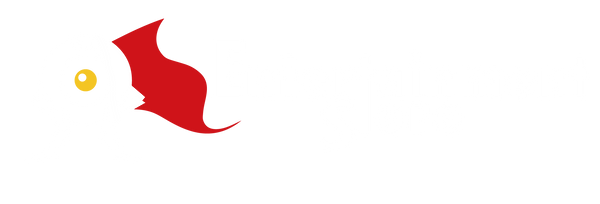 www.entertainmentstore.in