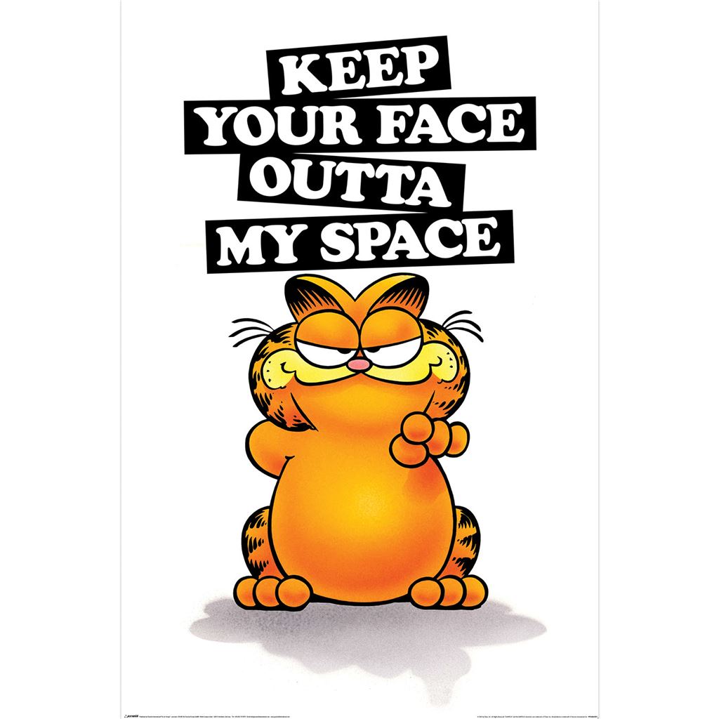 Garfiled Keep Your Face Maxi Poster