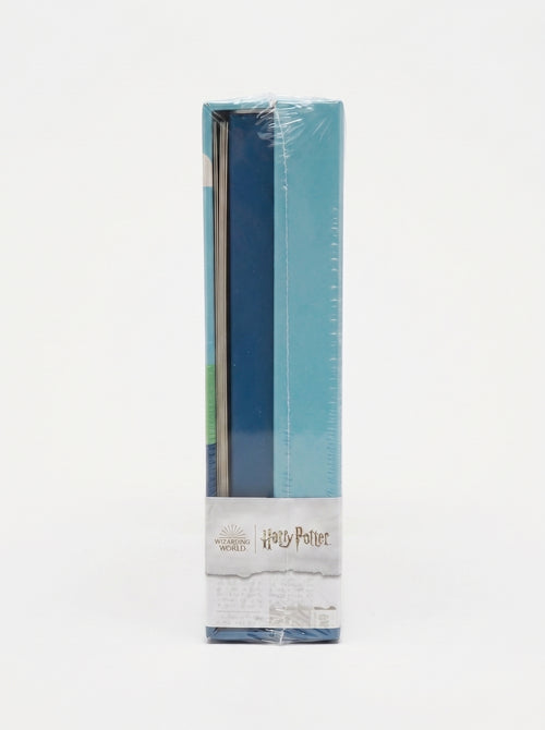 Harry Potter Exploring Hogwarts Card Portfolio Set
