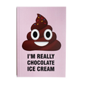 Poop Im Really Chocolate Ice Notebook - www.entertainmentstore.in